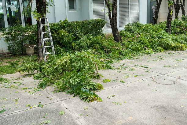 Best Lawn Watering Services  in Bonney Lake, WA