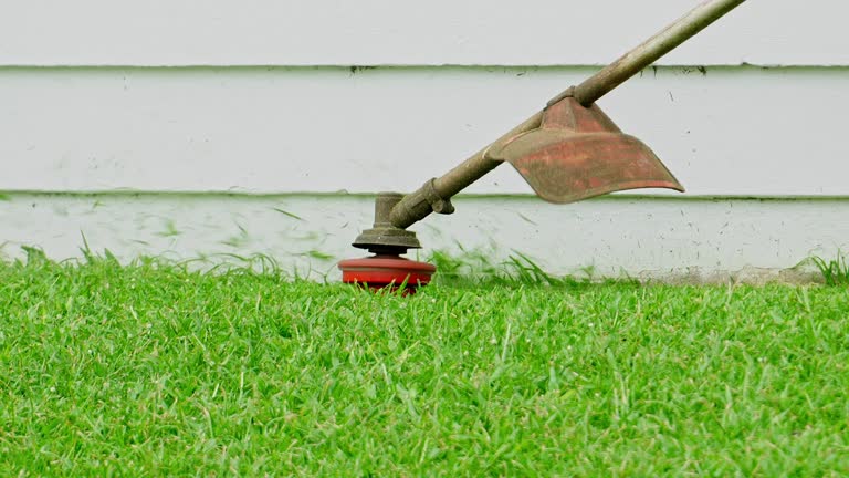 Best Stump Grinding and Removal  in Bonney Lake, WA